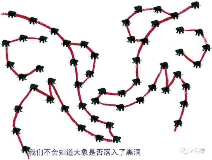 黑洞里的大象到底去哪了？