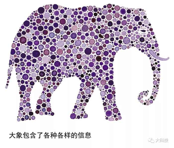 黑洞里的大象到底去哪了？