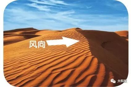 在凶险之地求生