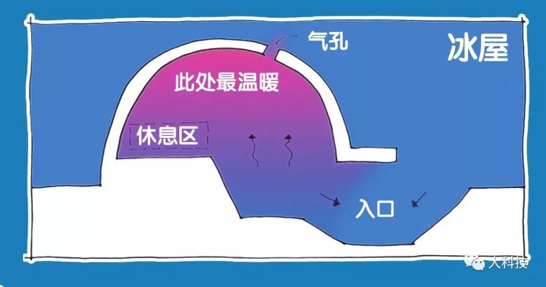 在凶险之地求生