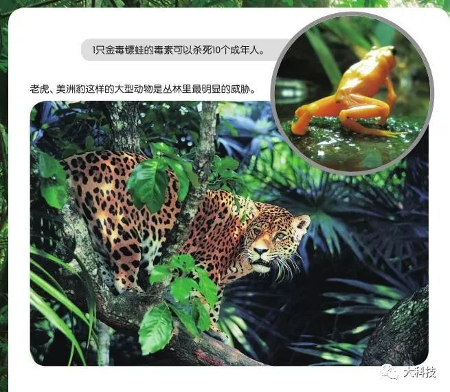 在凶险之地求生