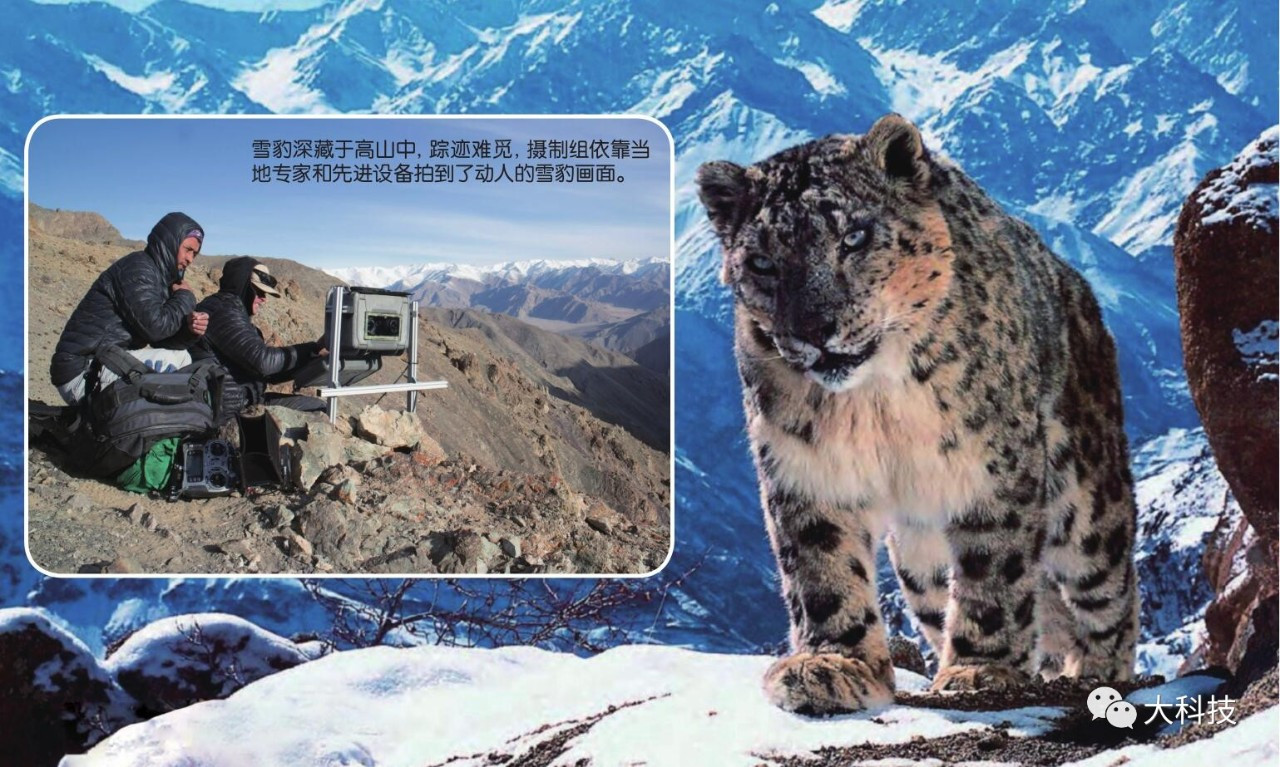 BBC《行星地球》震撼的背后