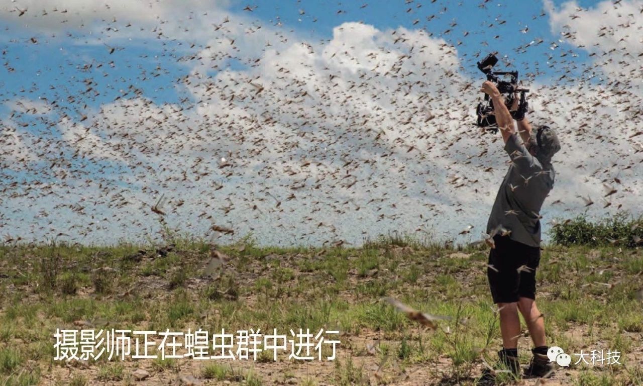 BBC《行星地球》震撼的背后
