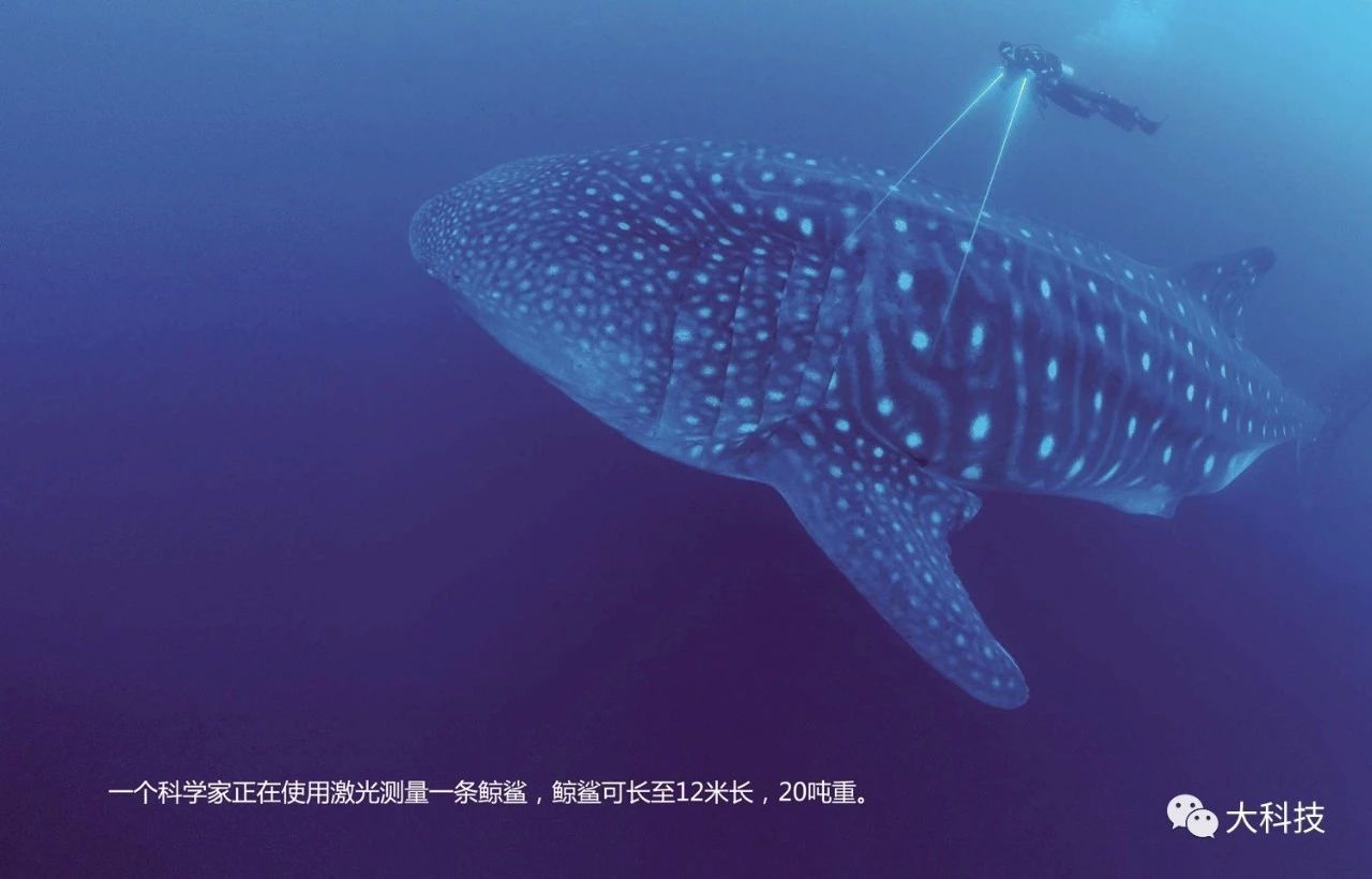 BBC《行星地球》震撼的背后